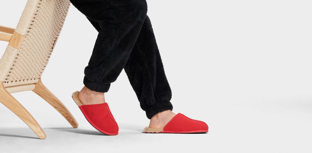 Ugg Scuff - Mens Slippers - Red - NZ (4915NITVG)